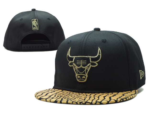 NBA Chicago Bulls NE Snapback Hat #332